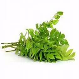 Fresh Curry Leaves 50g