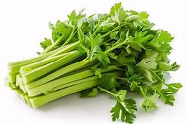Green Celery 1 Case