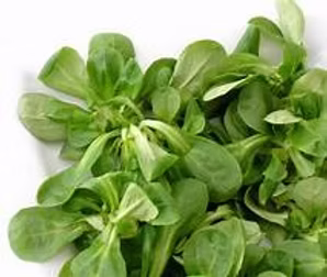 Lambs Lettuce 4 x 250g