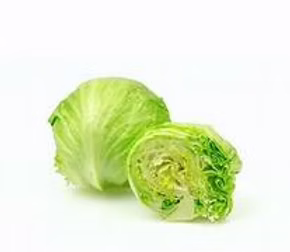 Lettuce Round x 12 Bulk