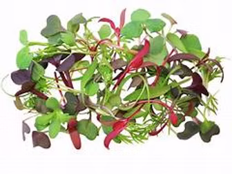 Micro Mixed Leaves 30g