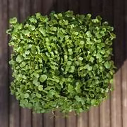 Micro Rocket 16 x 30g