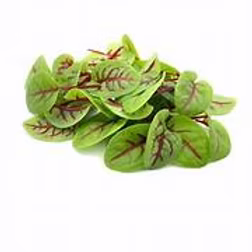 Micro Sorrel, Red Vein 16 x 20g