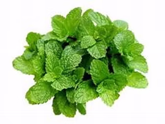 Mint Leaves 1kg