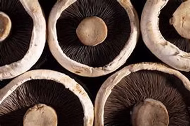 Mushroom Portabella 1.5kg
