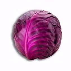 Red Cabbage