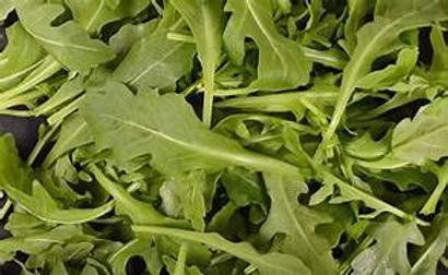 Roquette Wild 10x 250g Bulk