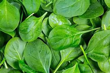 Spinach Baby 1 kg