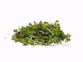 The Shoot Mix 100g