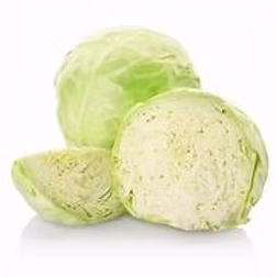 White Cabbage Single