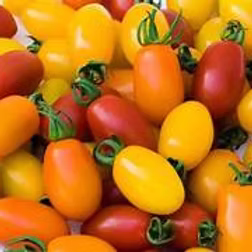 Mixed Baby Plum Tomatoes 5kg