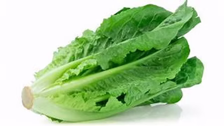 Cos Lettuce 1 x 10/12