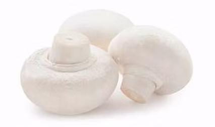 Mushroom Cup 3kg