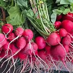 Radish 250g