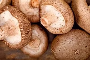 Mushroom Shitake 500g