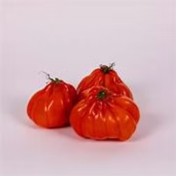 British Isle of Wight Beef Tomato 3kg