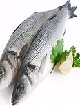 Whole Farmed Seabass, Gutted & Gilled (300-400g) (1 x 6)